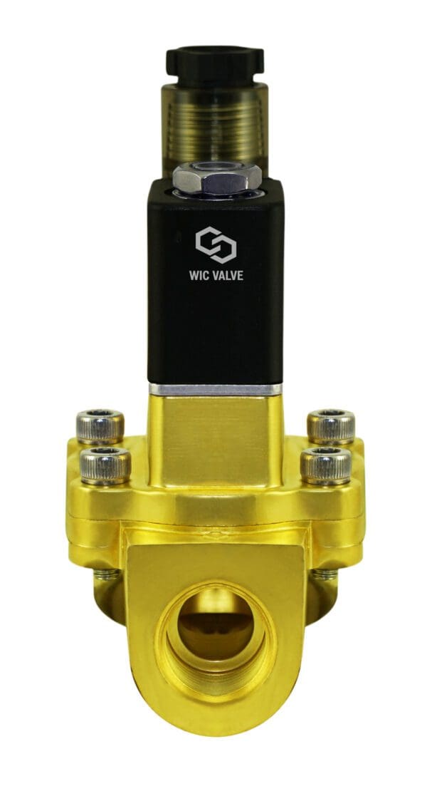 Wisdom International Corporation WIC Valve