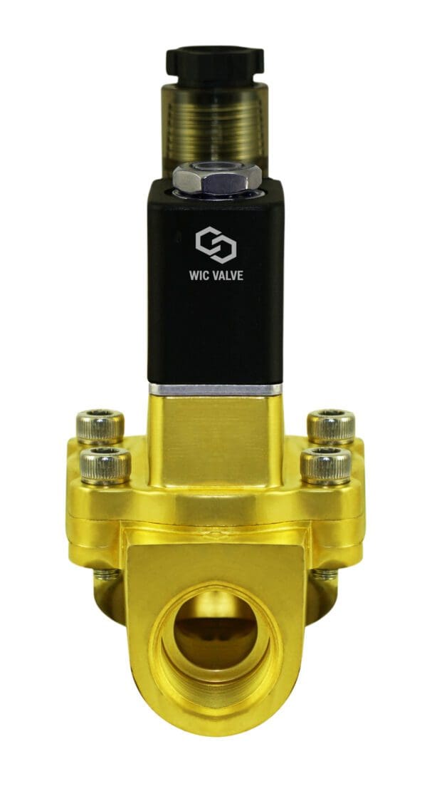 Wisdom International Corporation WIC Valve