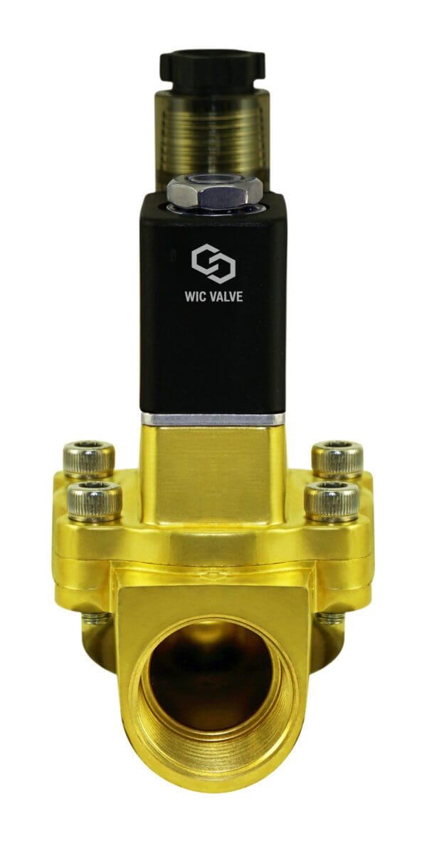 Wisdom International Corporation WIC Valve