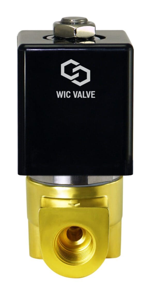 Wisdom International Corporation WIC Valve