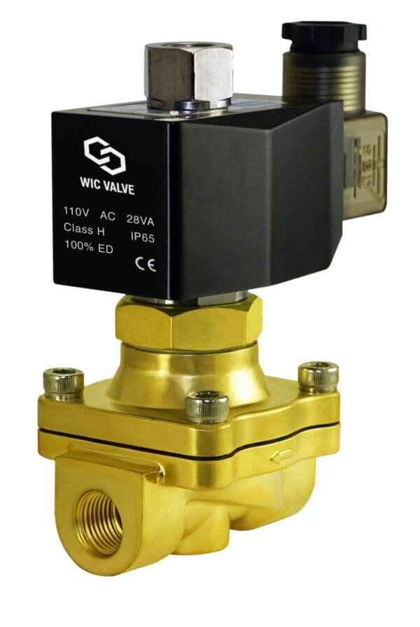 Wisdom International Corporation WIC Valve