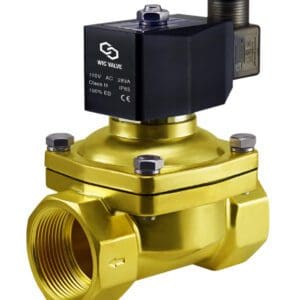 Wisdom International Corporation WIC Valve